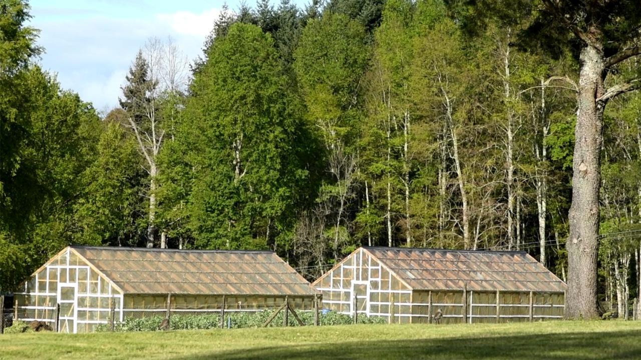 Das Dorf Hotel Pucón Exteriér fotografie